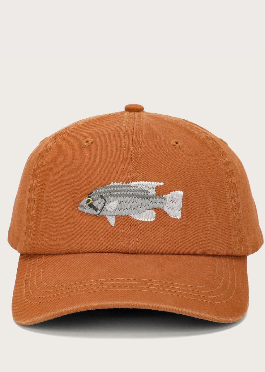 DHUFISH LID by Pallion Point