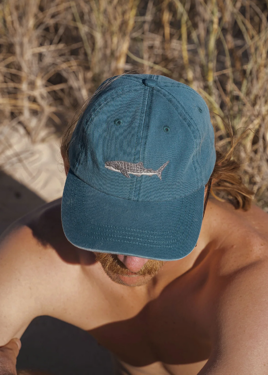 WHALE SHARK LID by Pallion Point