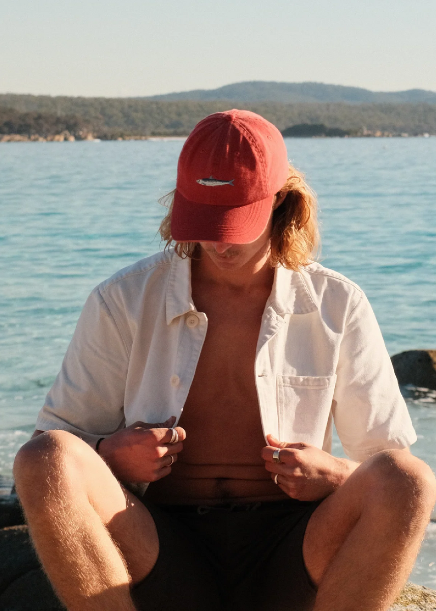 SARDINE LID by Pallion Point