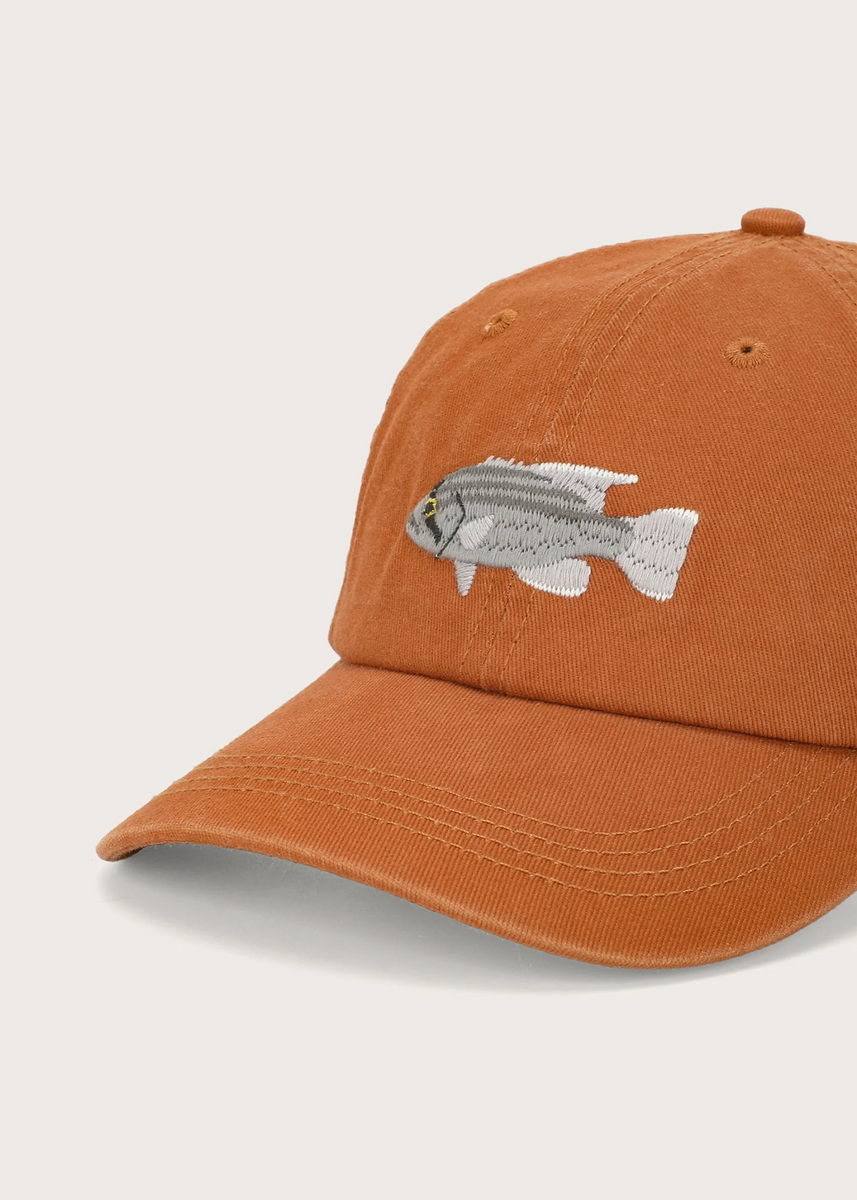 DHUFISH LID by Pallion Point