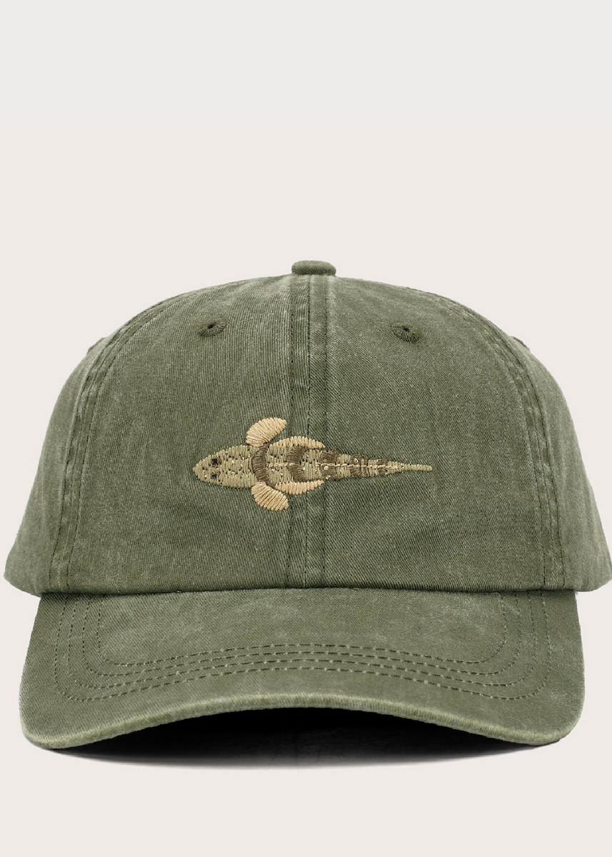 FLATHEAD LID by Pallion Point