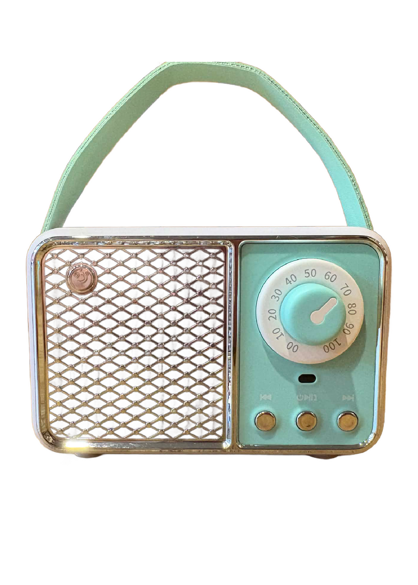 PRO RETRO SPEAKER - MINT/LILAC