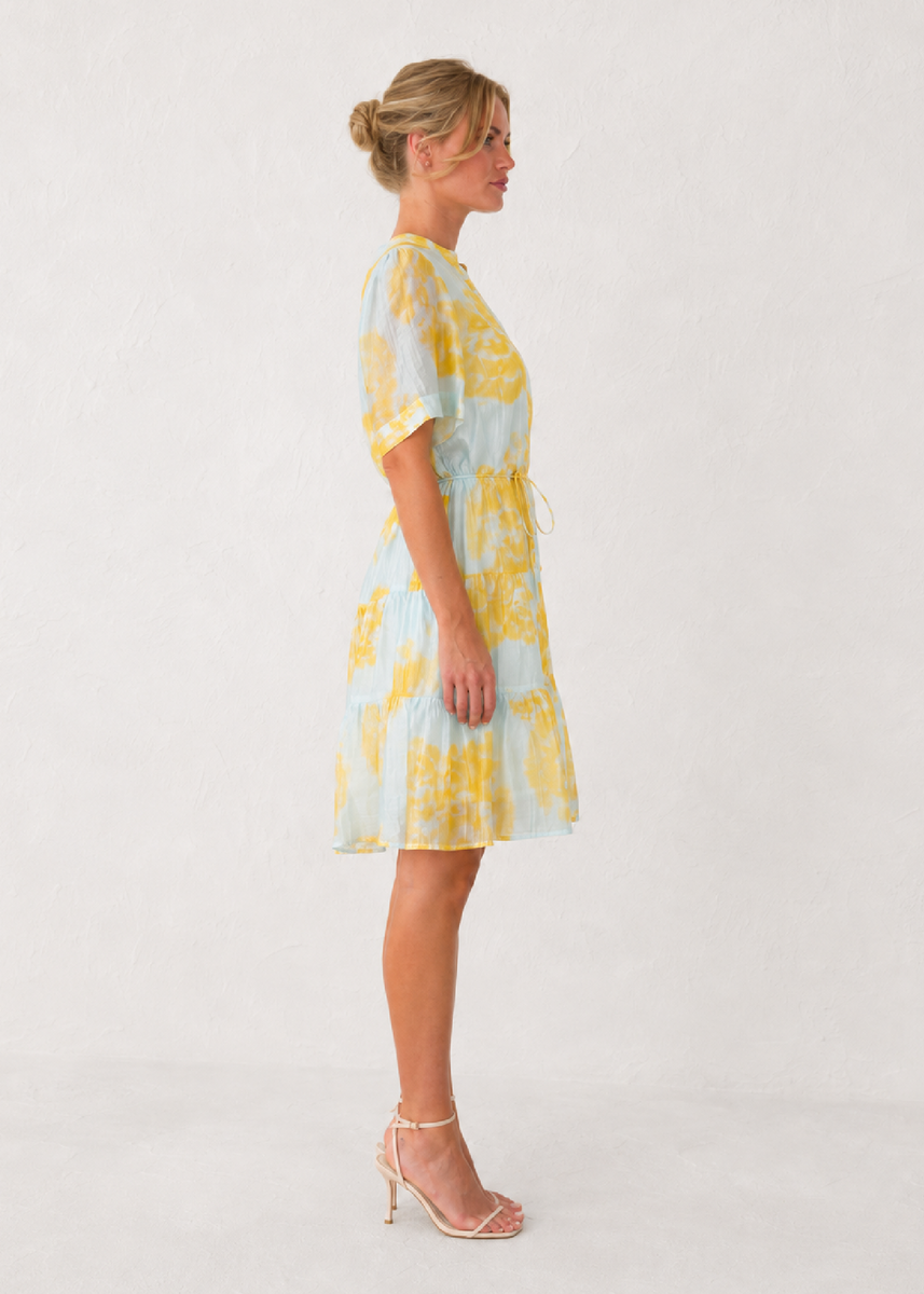 SERENITY DRESS