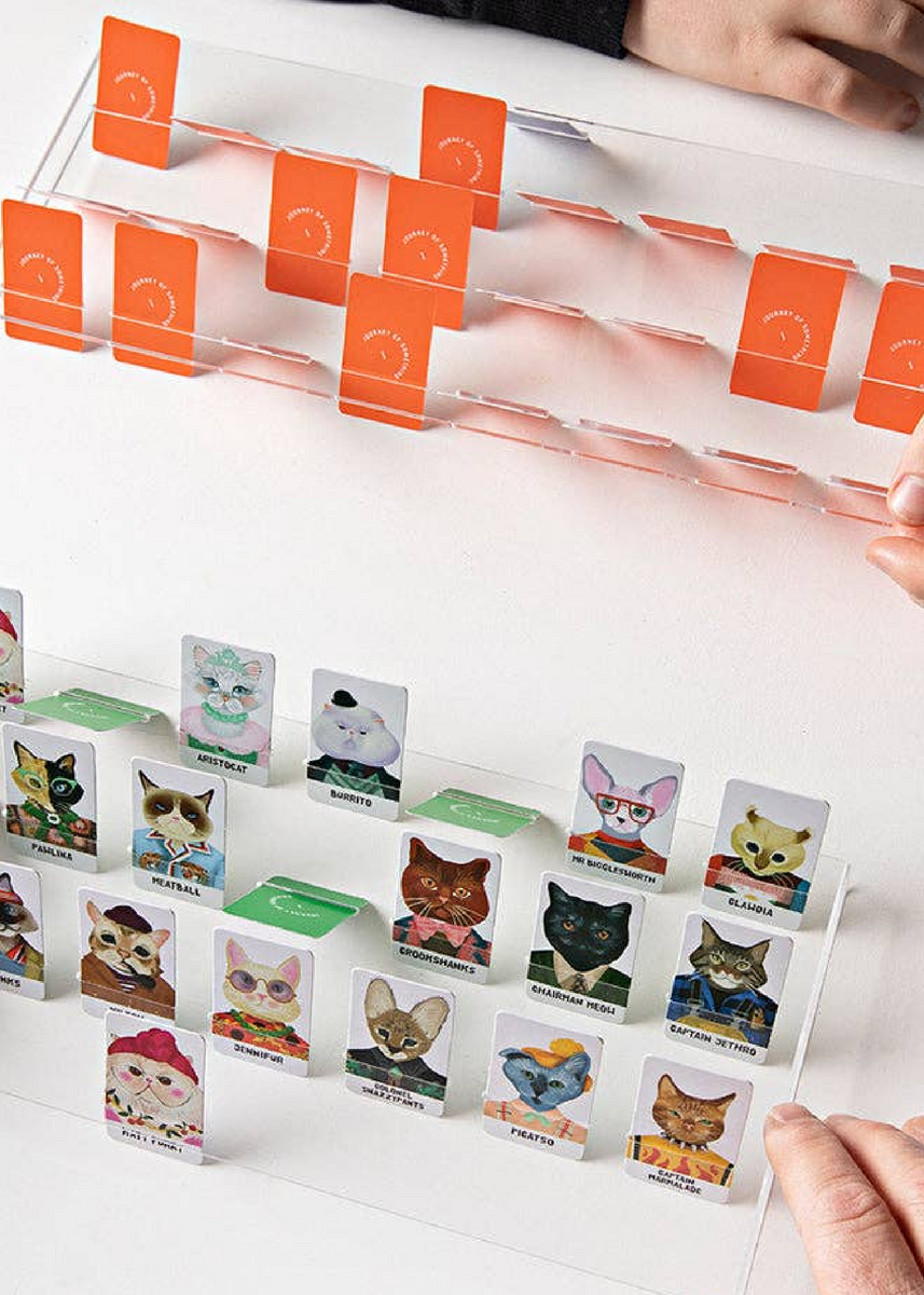 GUESS THE FELINE CARD GAME