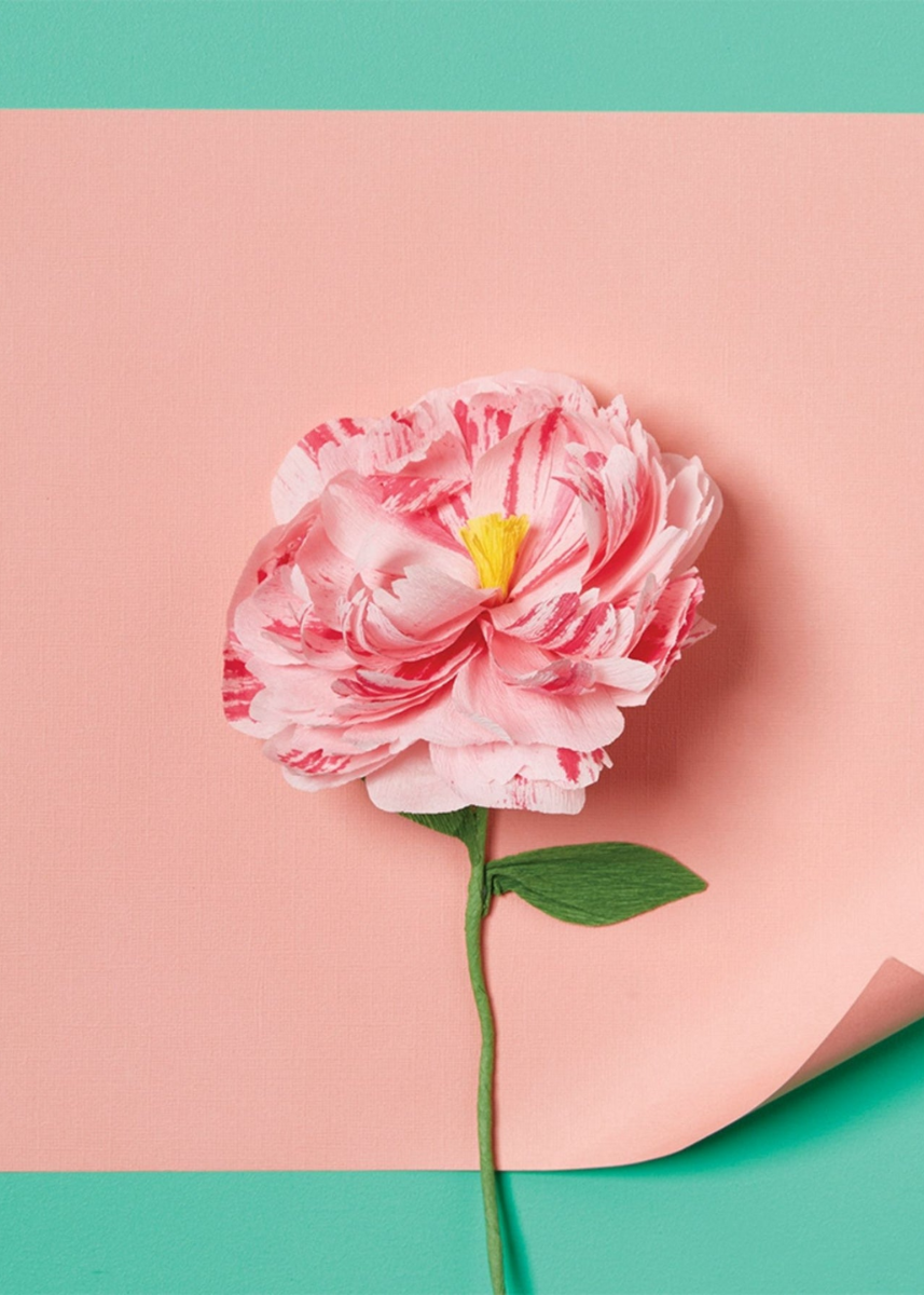 PAPER FLOWER MAKING KIT