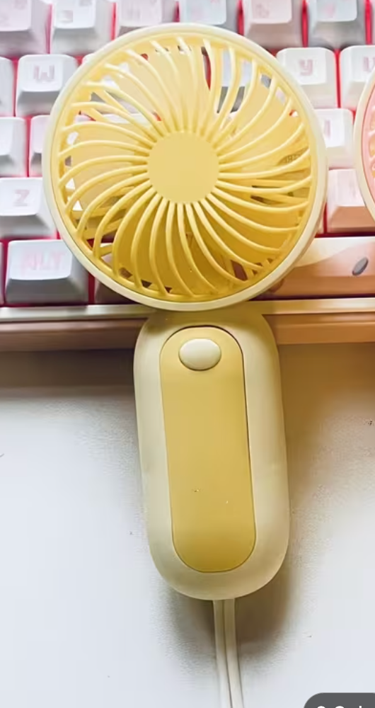 PORTABLE HAND FAN