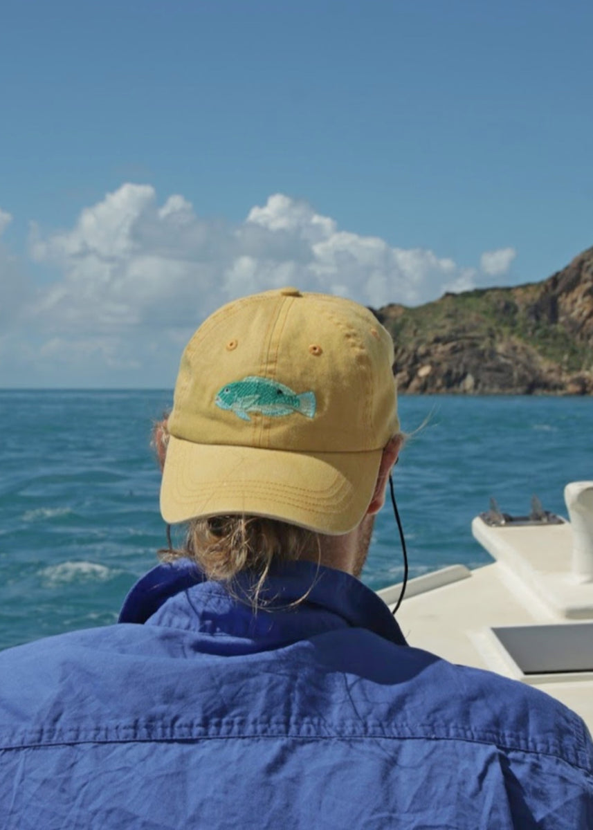 TUSKY LID by Pallion Point — Court & Spark Boutique